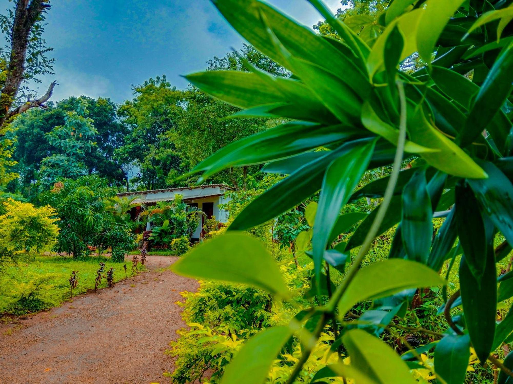 Chanaka Holiday Inn Sigiriya Exterior foto